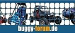 Buggy Forum001
